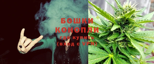 спиды Алексеевка