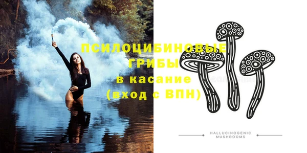 спиды Алексеевка