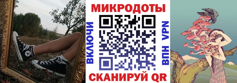 где найти   Псков  Псилоцибиновые грибы GOLDEN TEACHER 